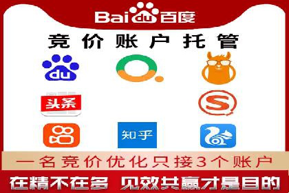 搜索开户返点揭秘：成功案例分享